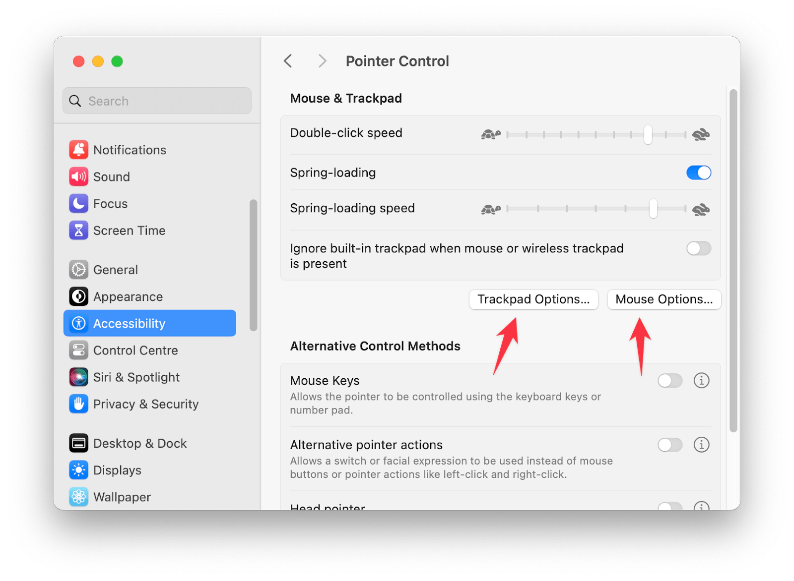 Pointer Control's options