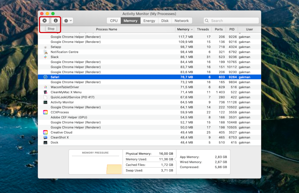How to free up RAM and reduce memory usage on your Mac