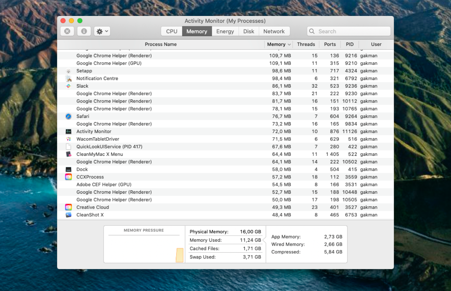 internet usage monitor for mac free