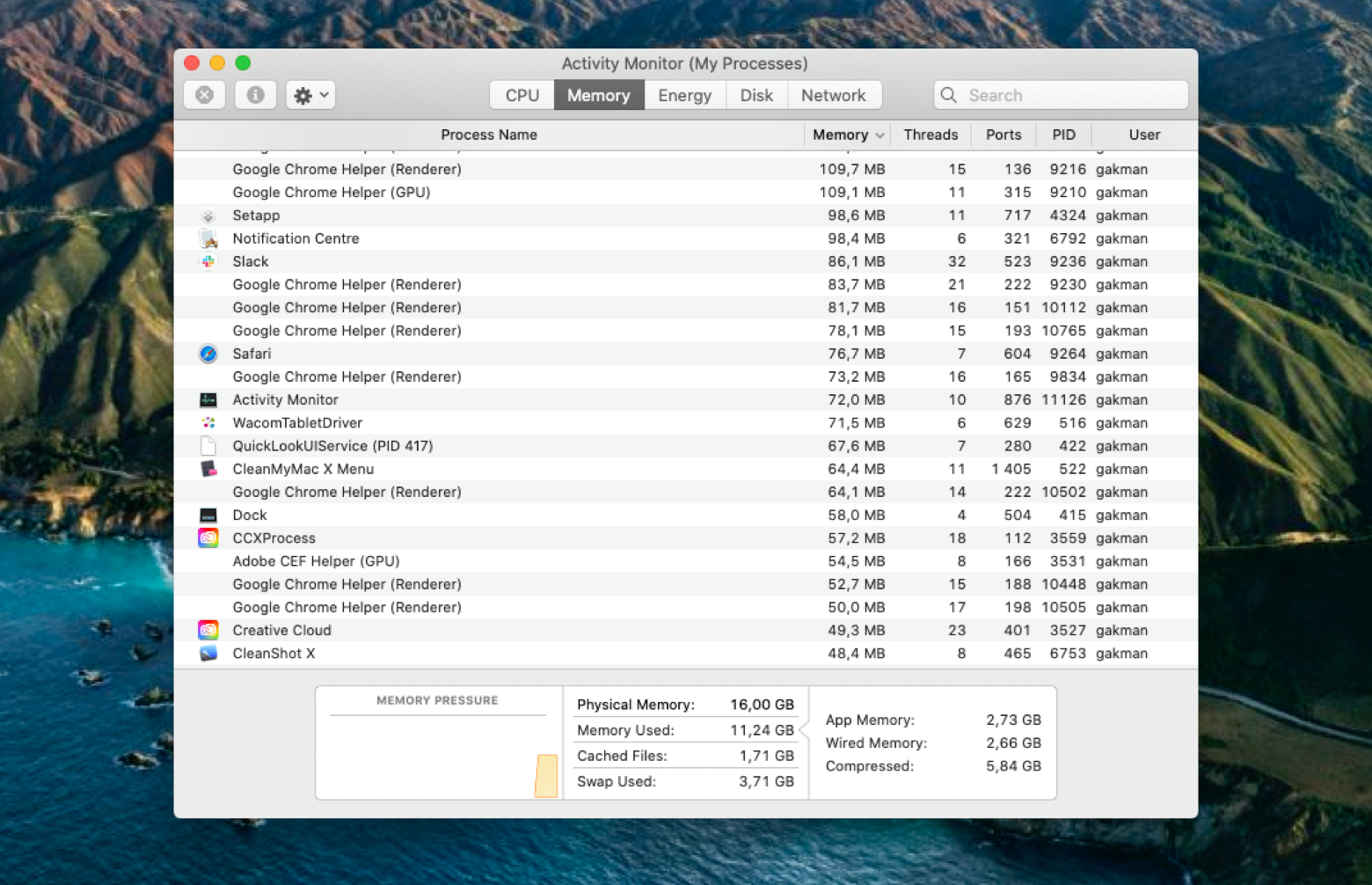 mac memory usage