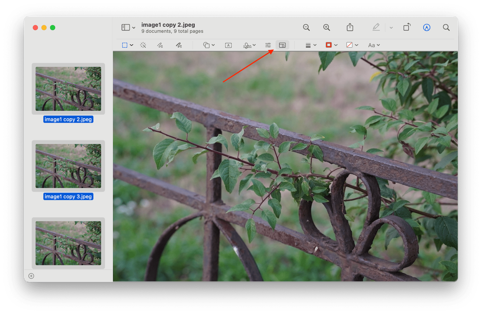 resize photos for email mac