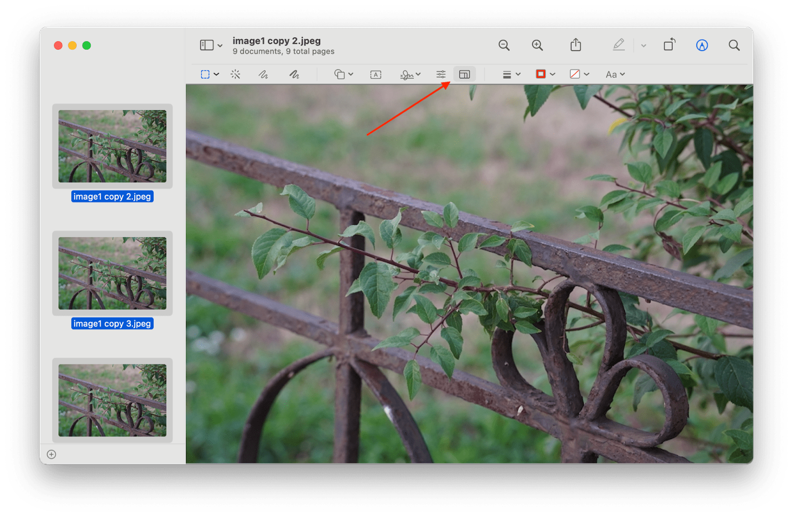 how to crop a photo to 2x2 on mac using preview on mac