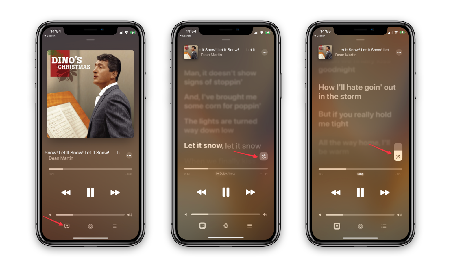 Activate Apple Music Sing on iPhone