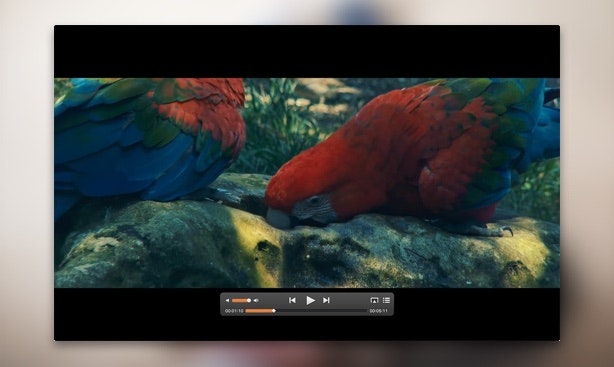 Download online video to watch them offline with Elmedia Player