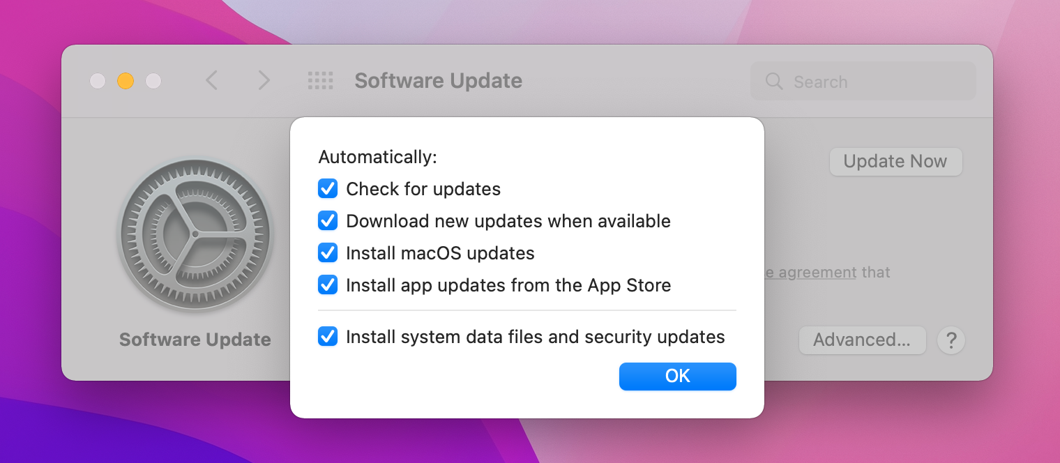 automatic updates macos