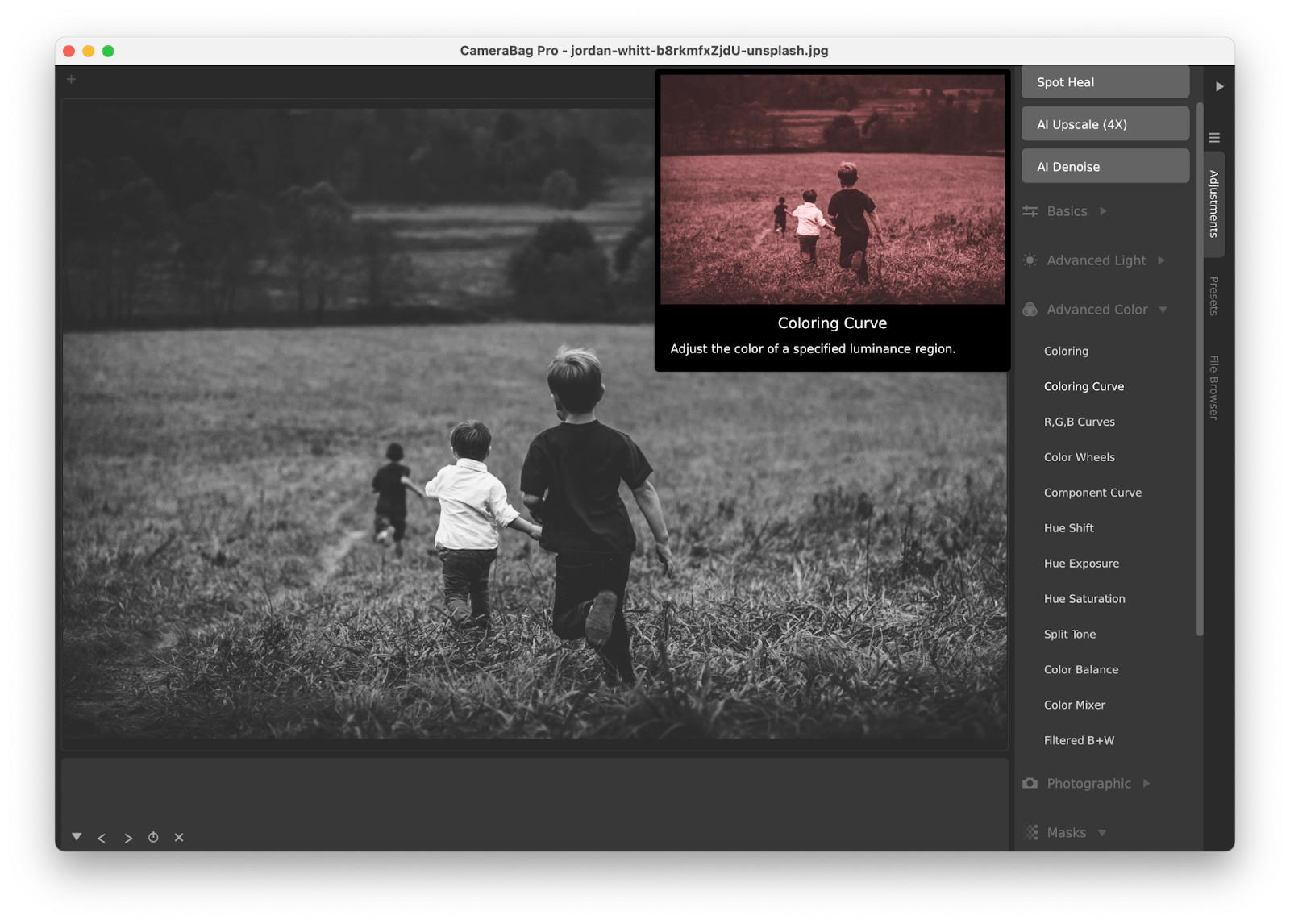 colorize black-and-white photo with CameraBag Pro