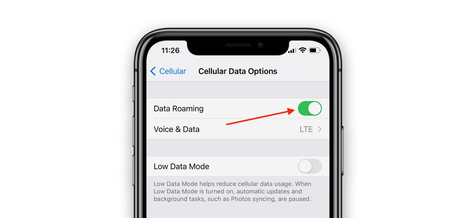 data roaming ios