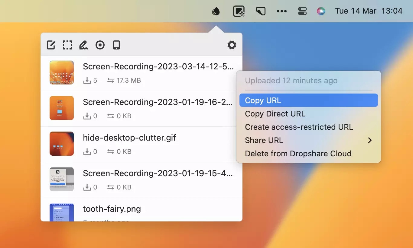 record a window and share it with Dropshare