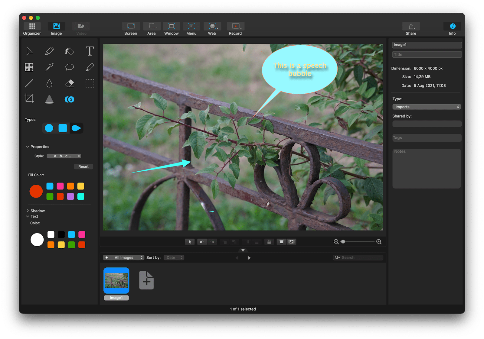 How to Use the Default Mac Photo Editor