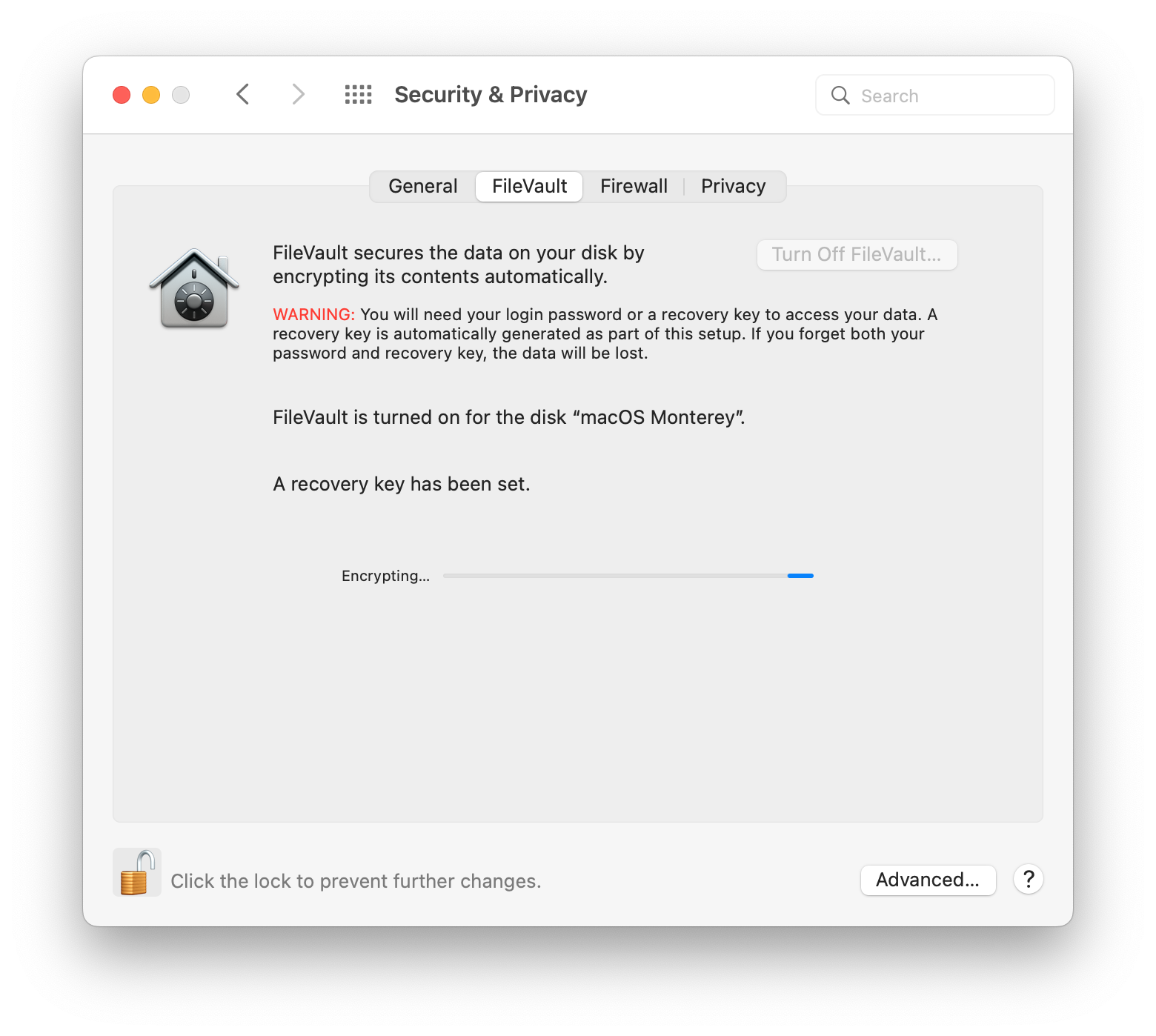 FileVault secures the data on your disk
