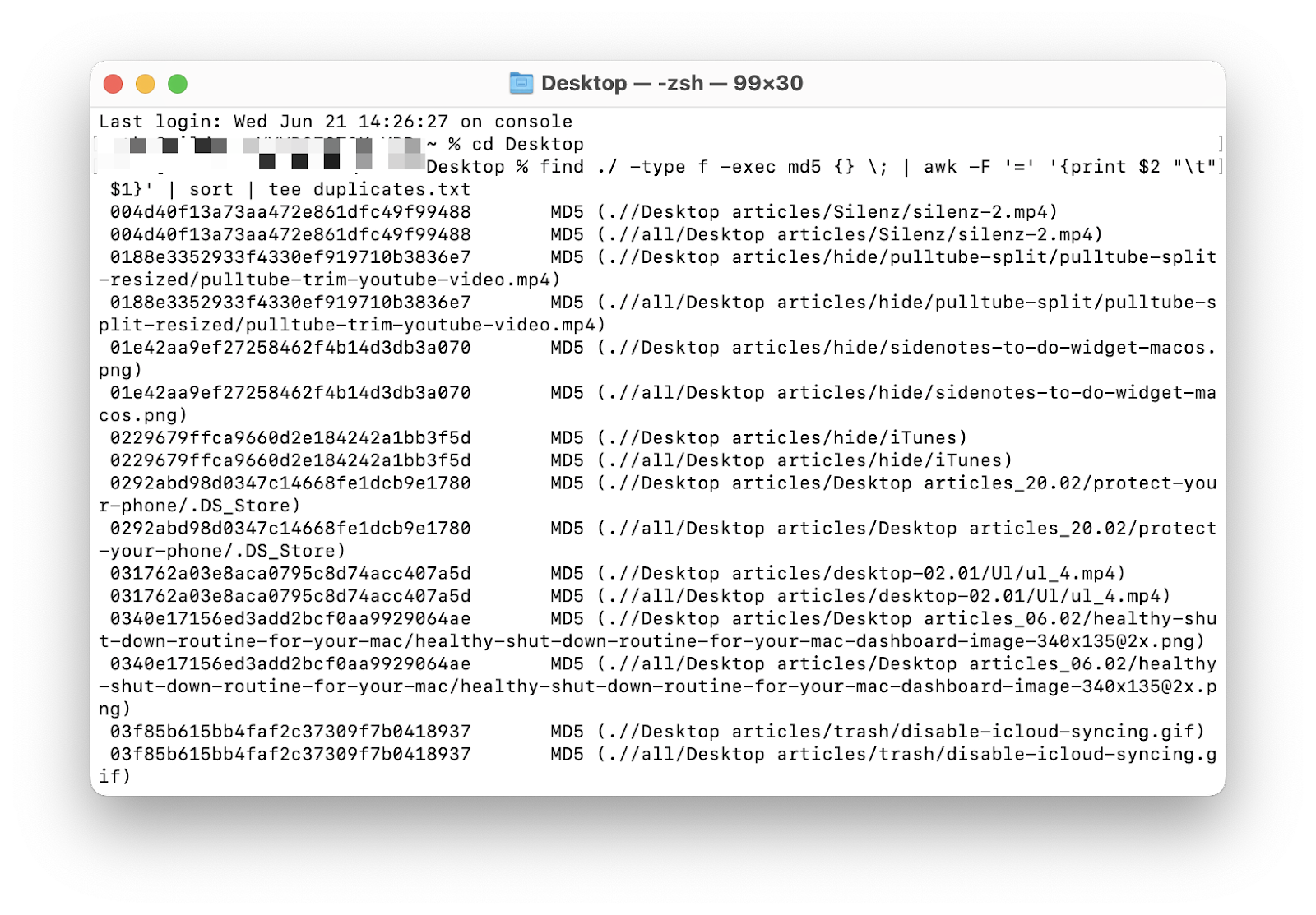 find duplicates through terminal