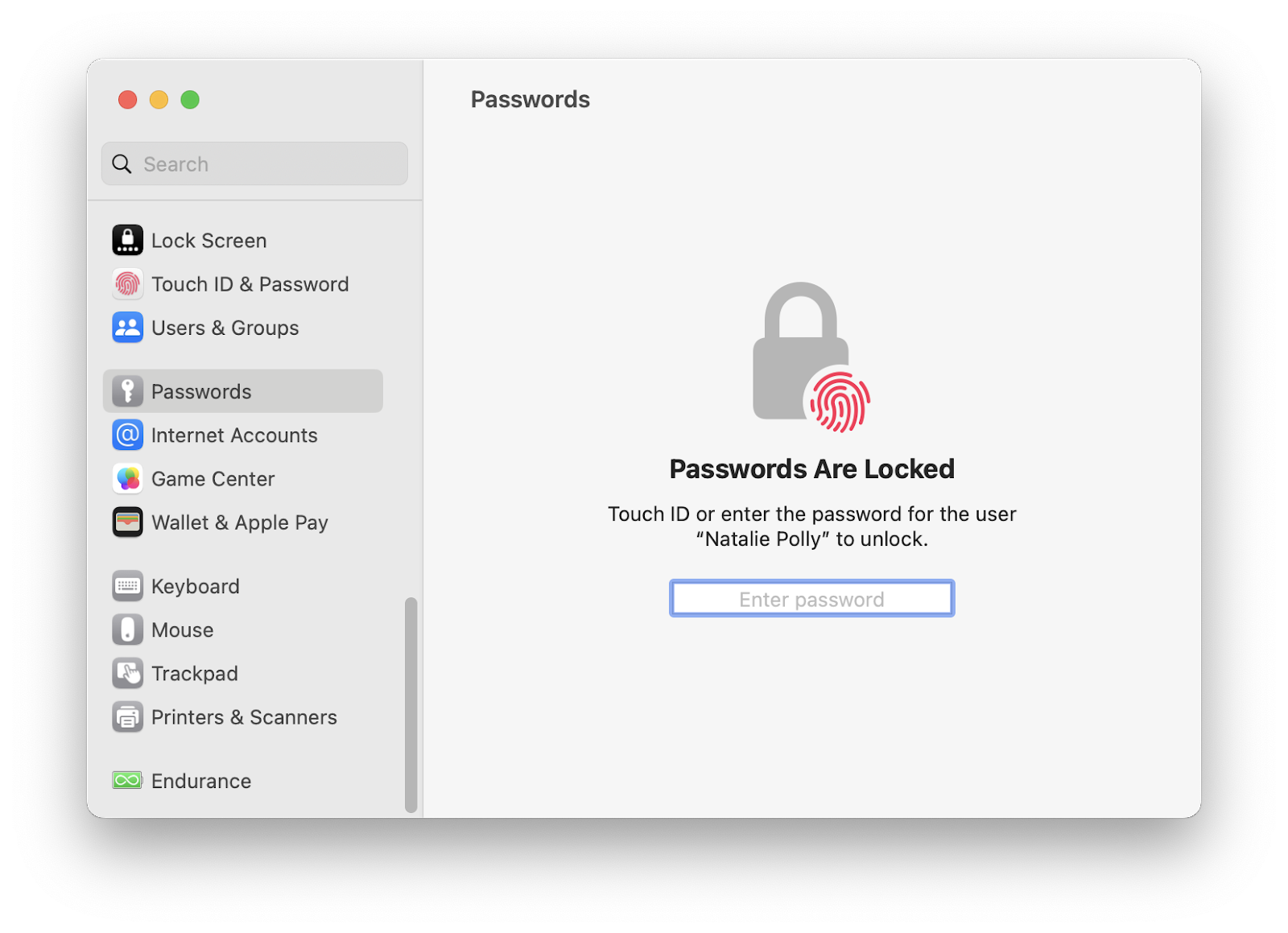 find mac passwords in system settings