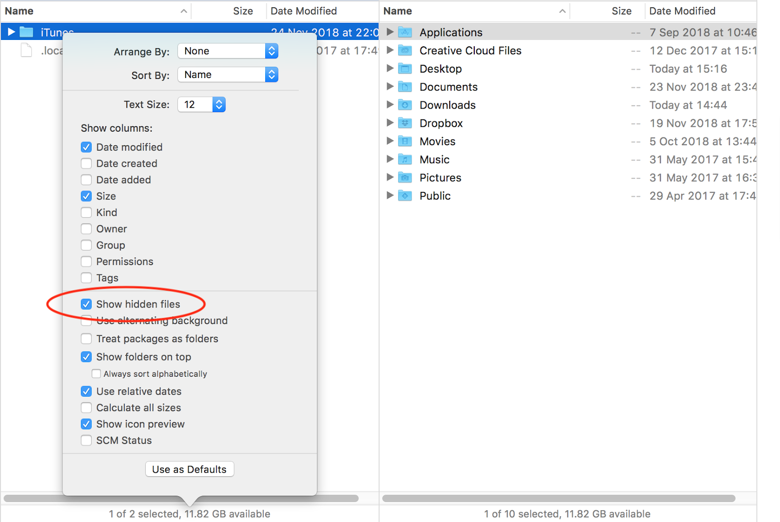 Check Finder preferences to show hidden files