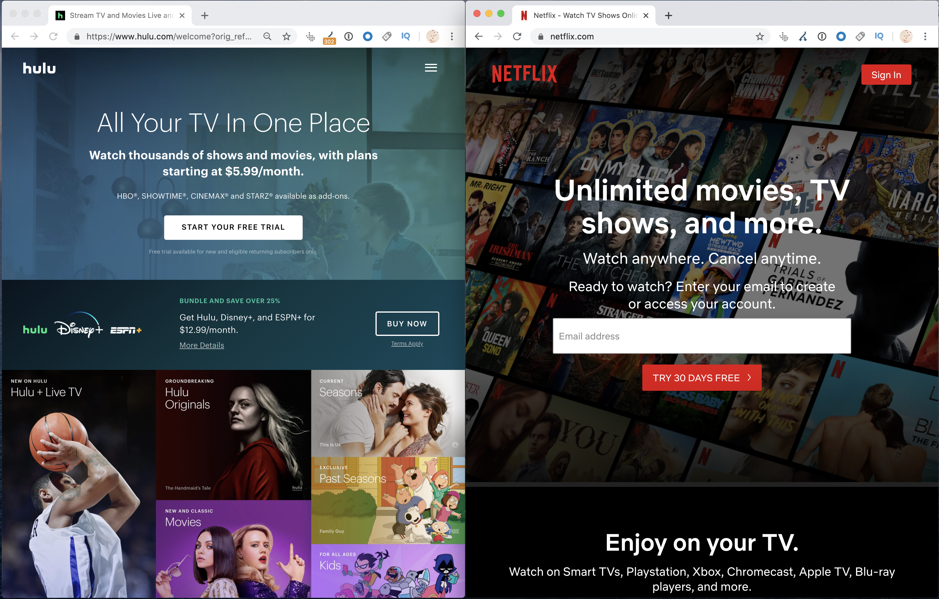 Hulu VS Netflix websites
