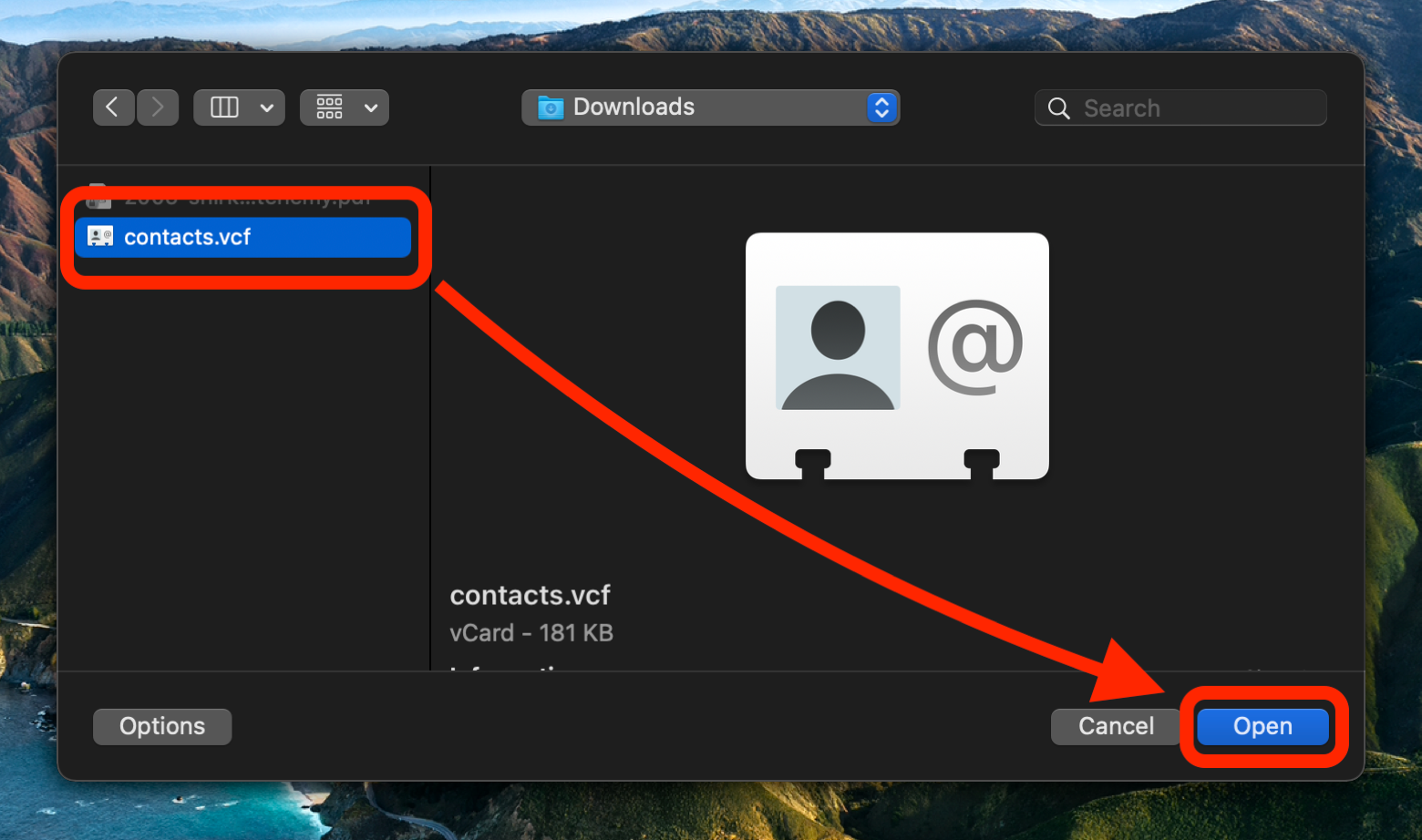 Import apple contacts to gmail