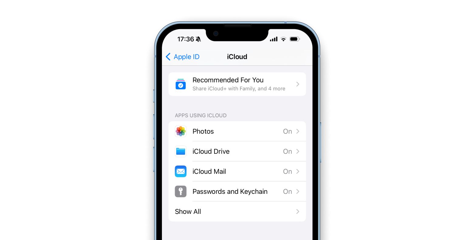 check the apps using iCloud on your iPhone