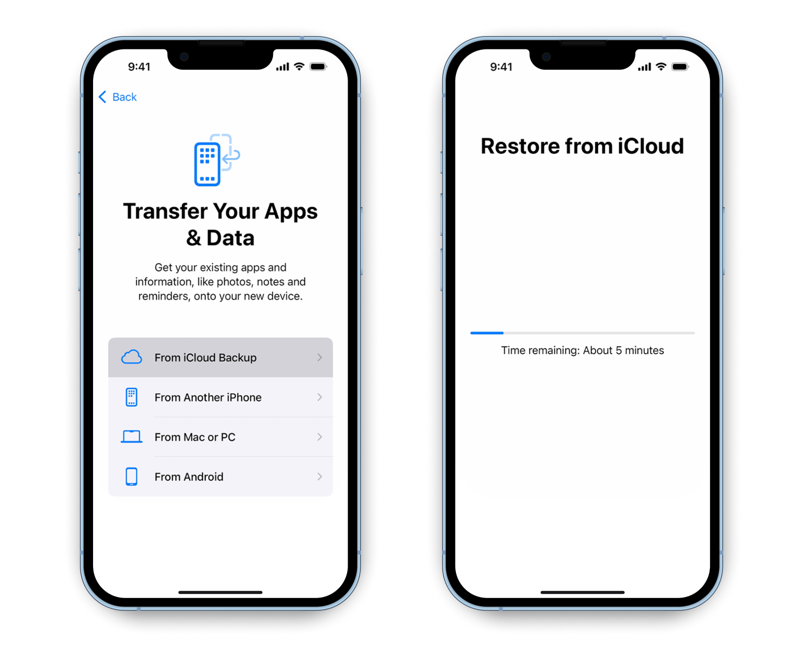 Restore from iCloud backup