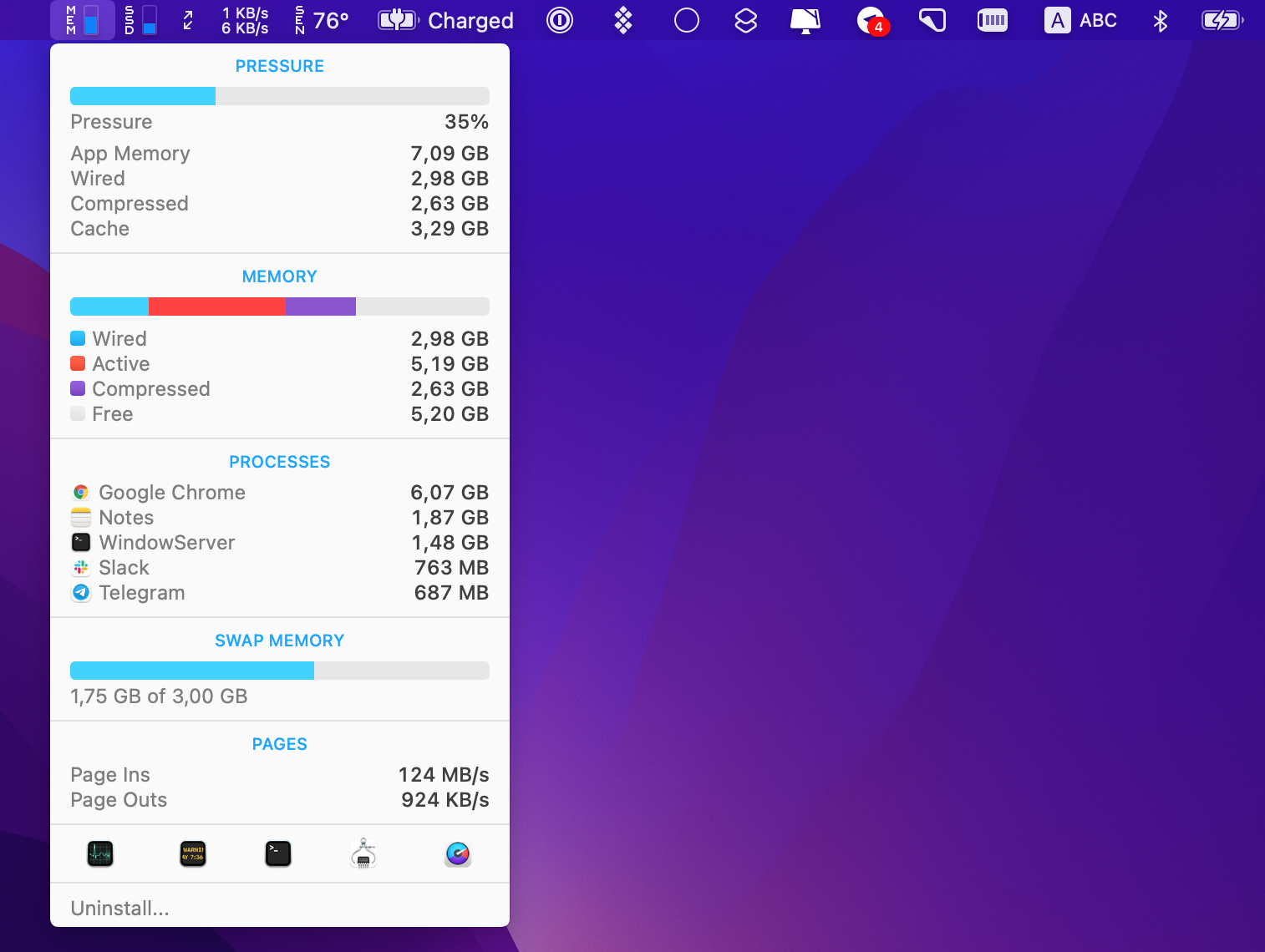 real-time RAM monitor