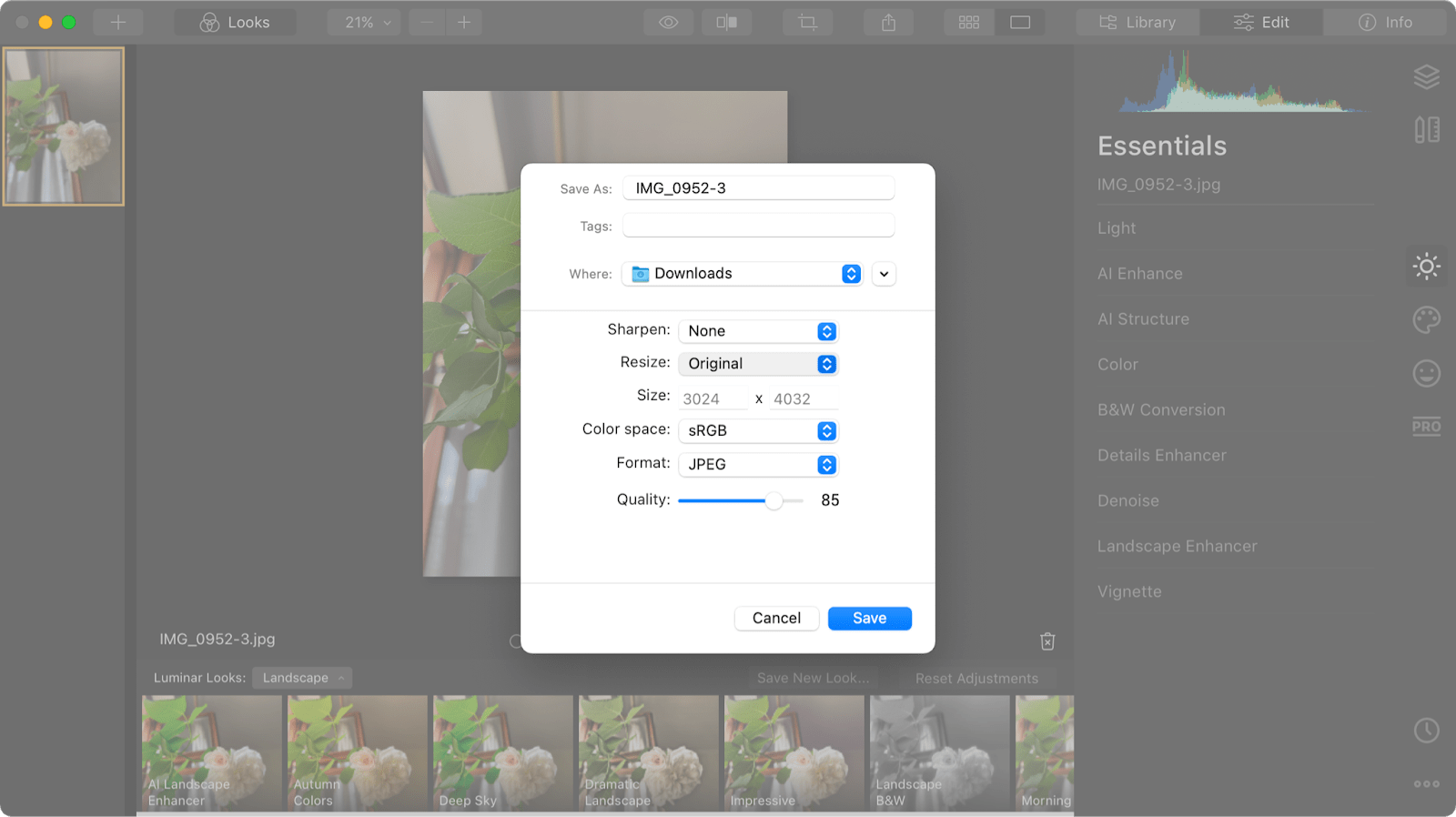 resize in luminar during export