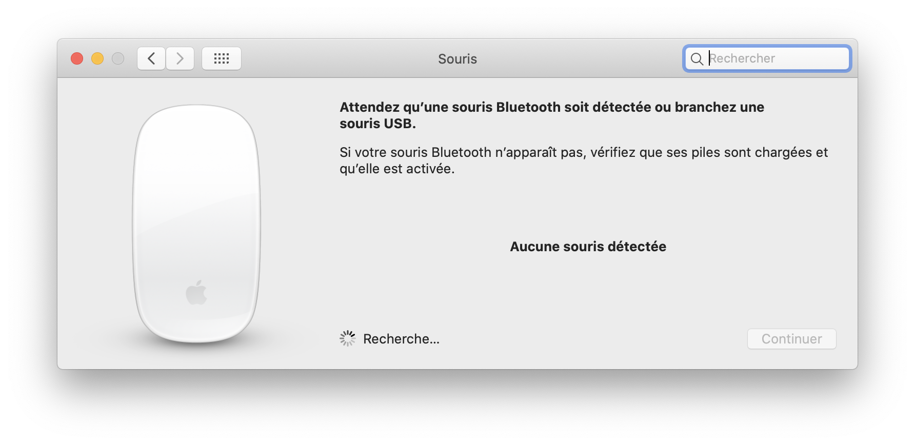 Souris Bluetooth Mac