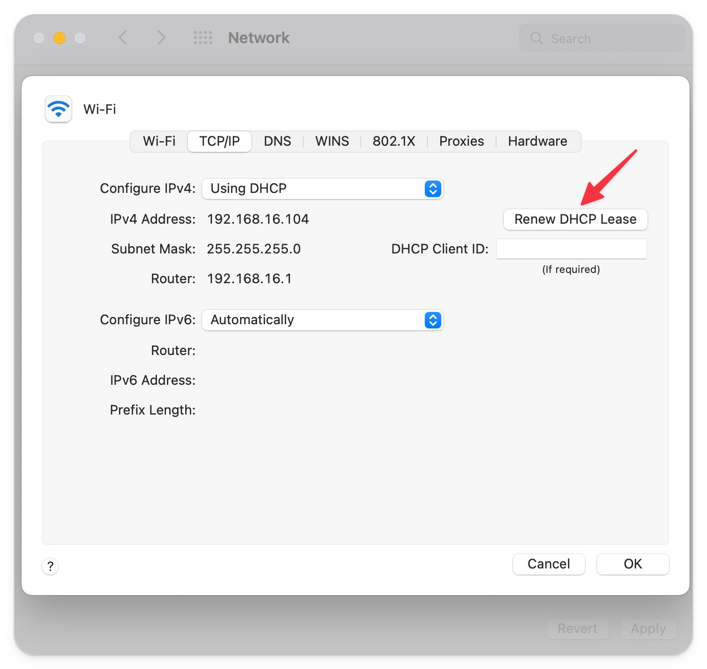 Renew DHCP Lease