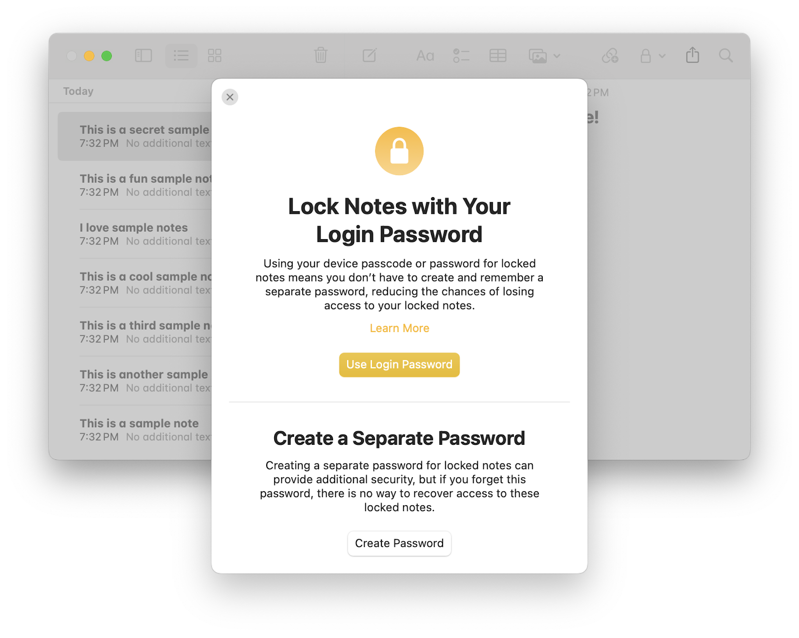 password protection in notes