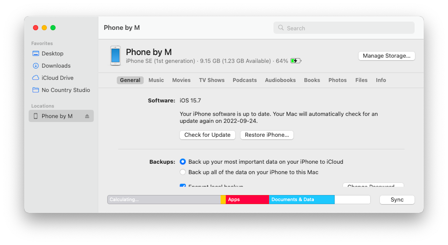 How to clear System Data on iPhone and iPad