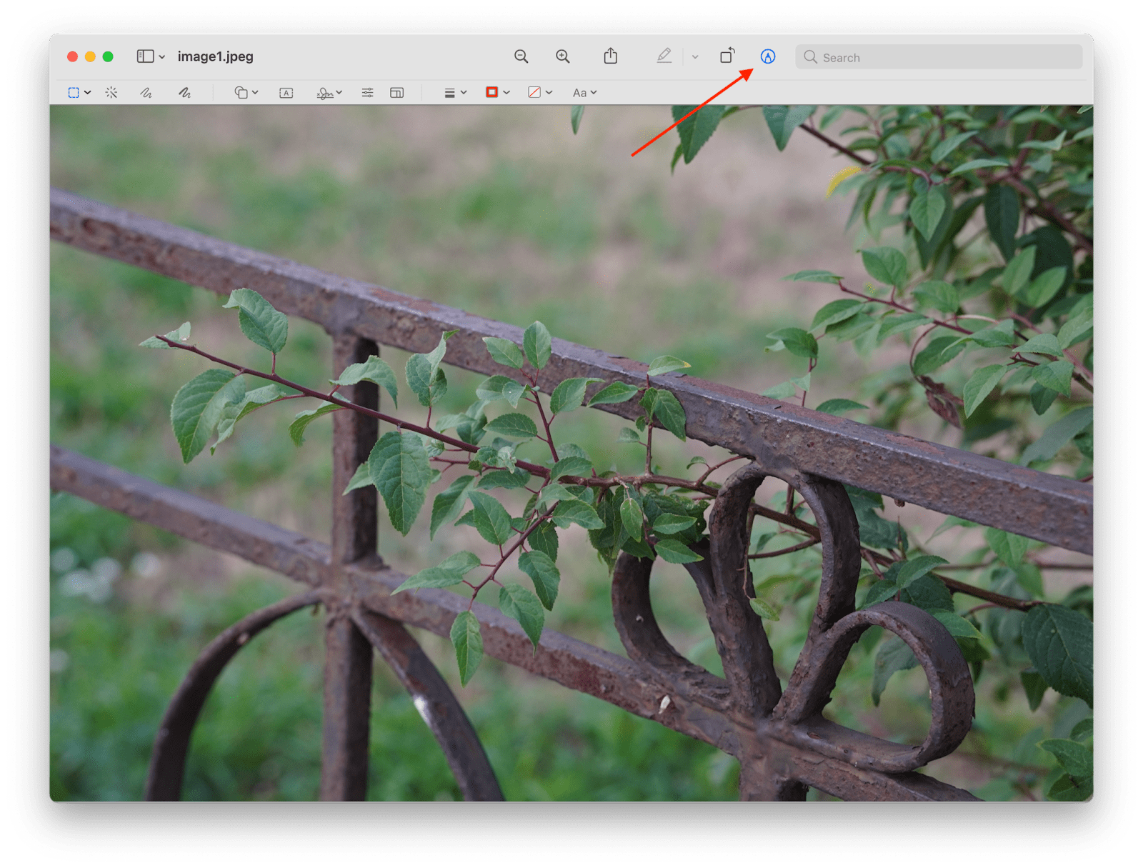 How To Edit Photos On Mac How To Edit Photos On Mac