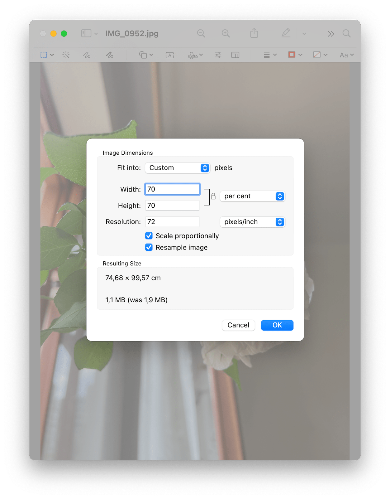 How To Resize An Image On Mac 2021