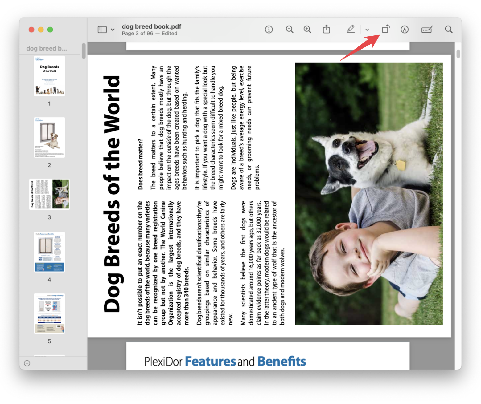 rotate one page in a PDF in Preview