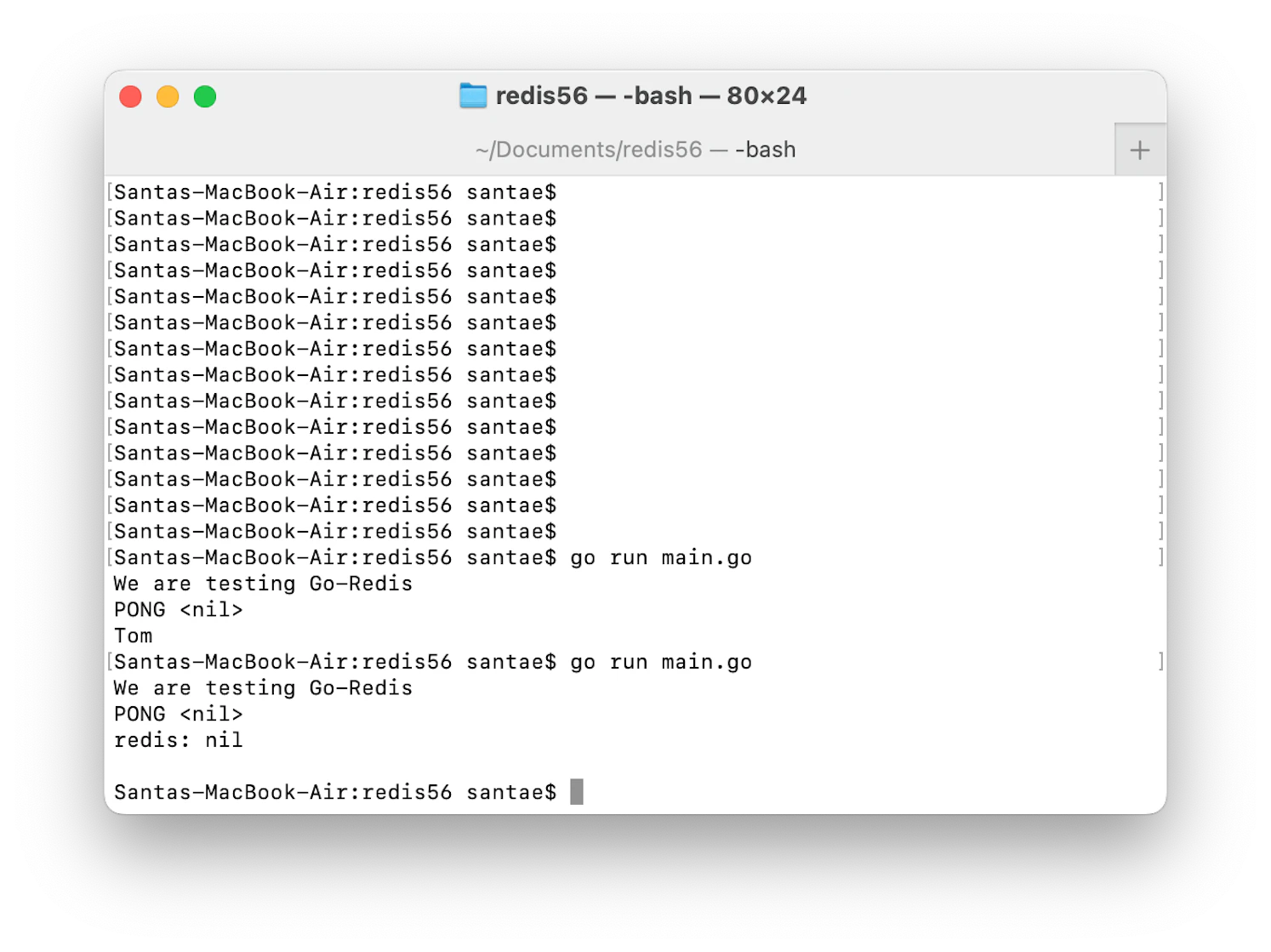 How To On Using Redis As A Database For Golang Projects