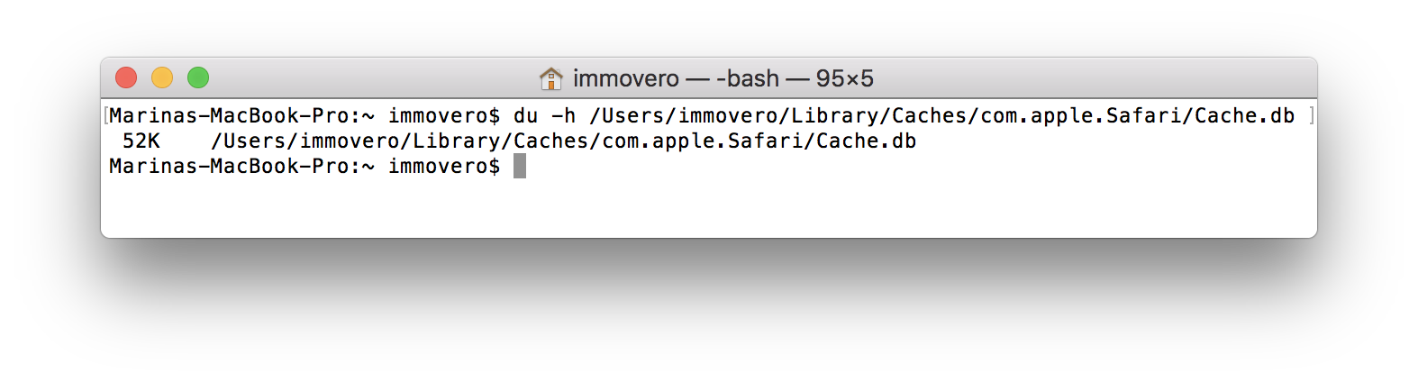 Clean cache in Safari