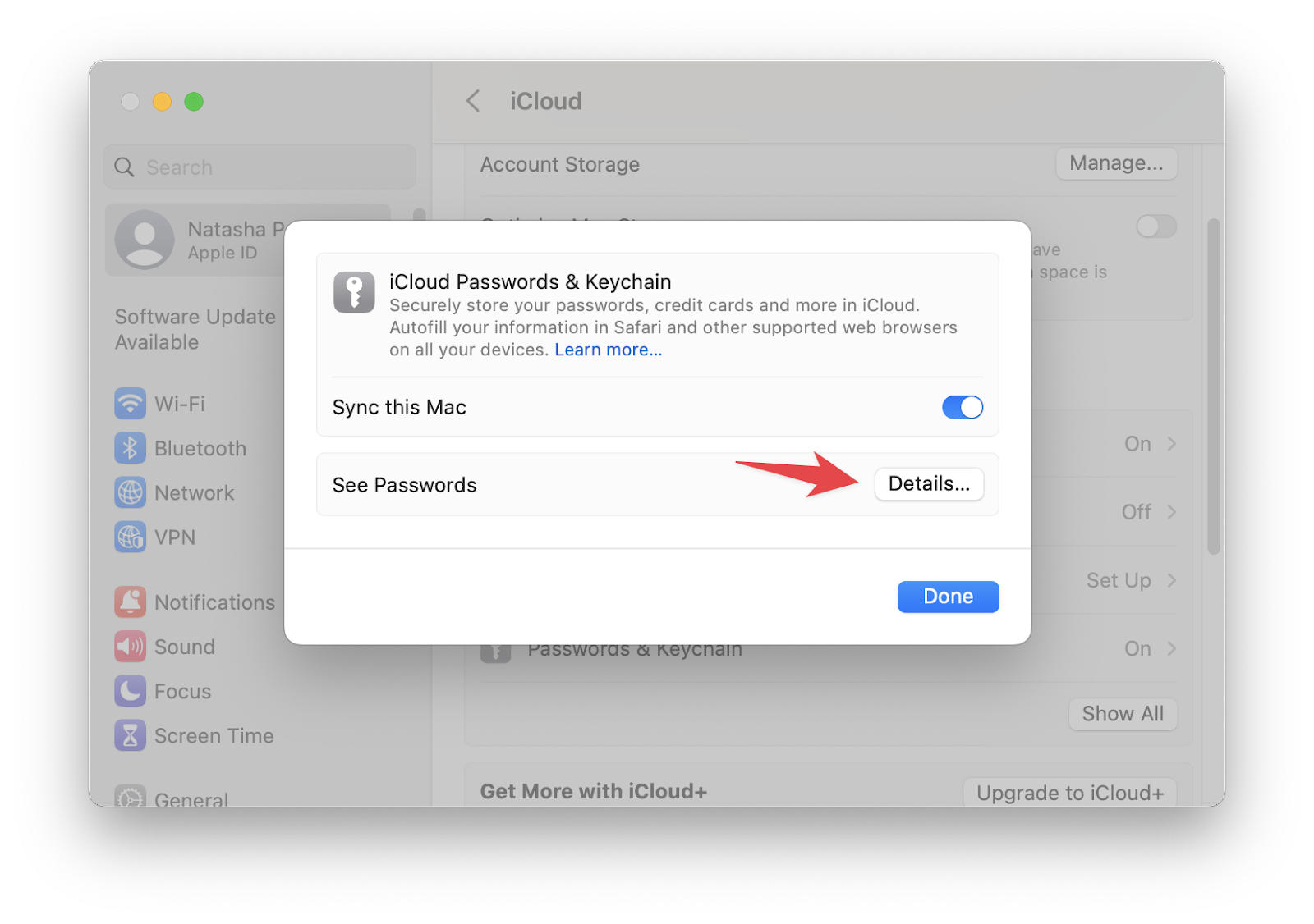 see mac passwords keychain