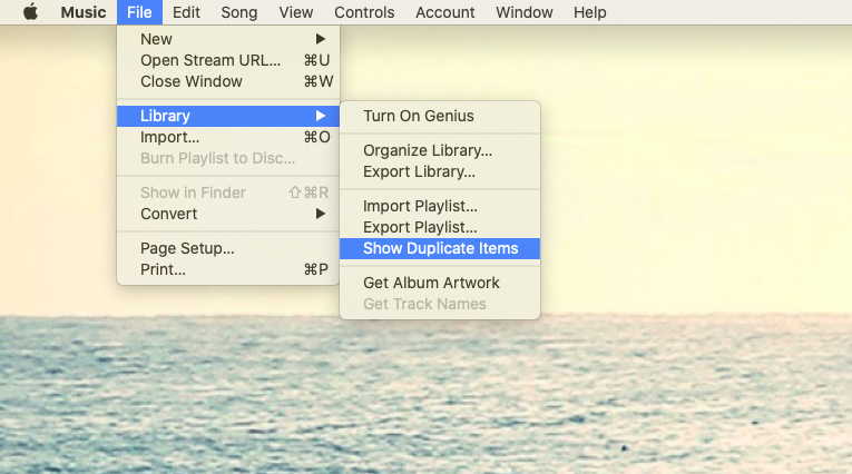 show duplicate items iTunes Music Mac