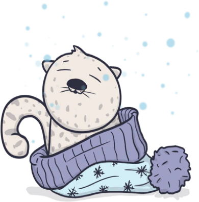 snow leopard os x