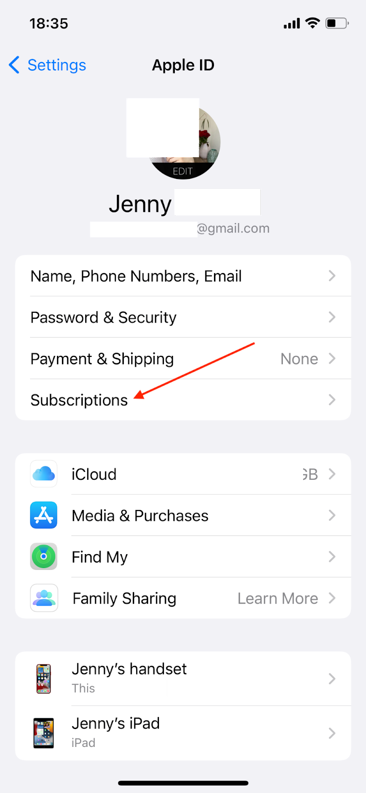 subscriptions settings iphone