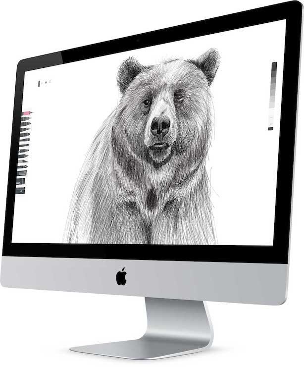 imac drawing