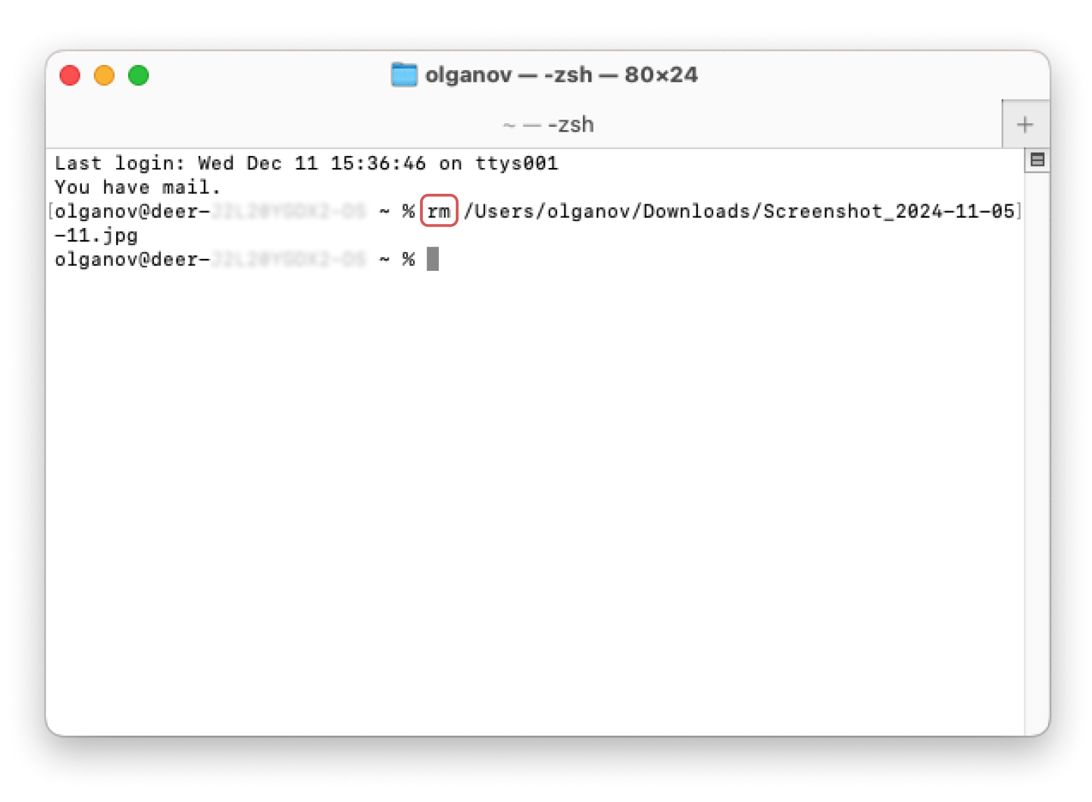 terminal delete stubborn file