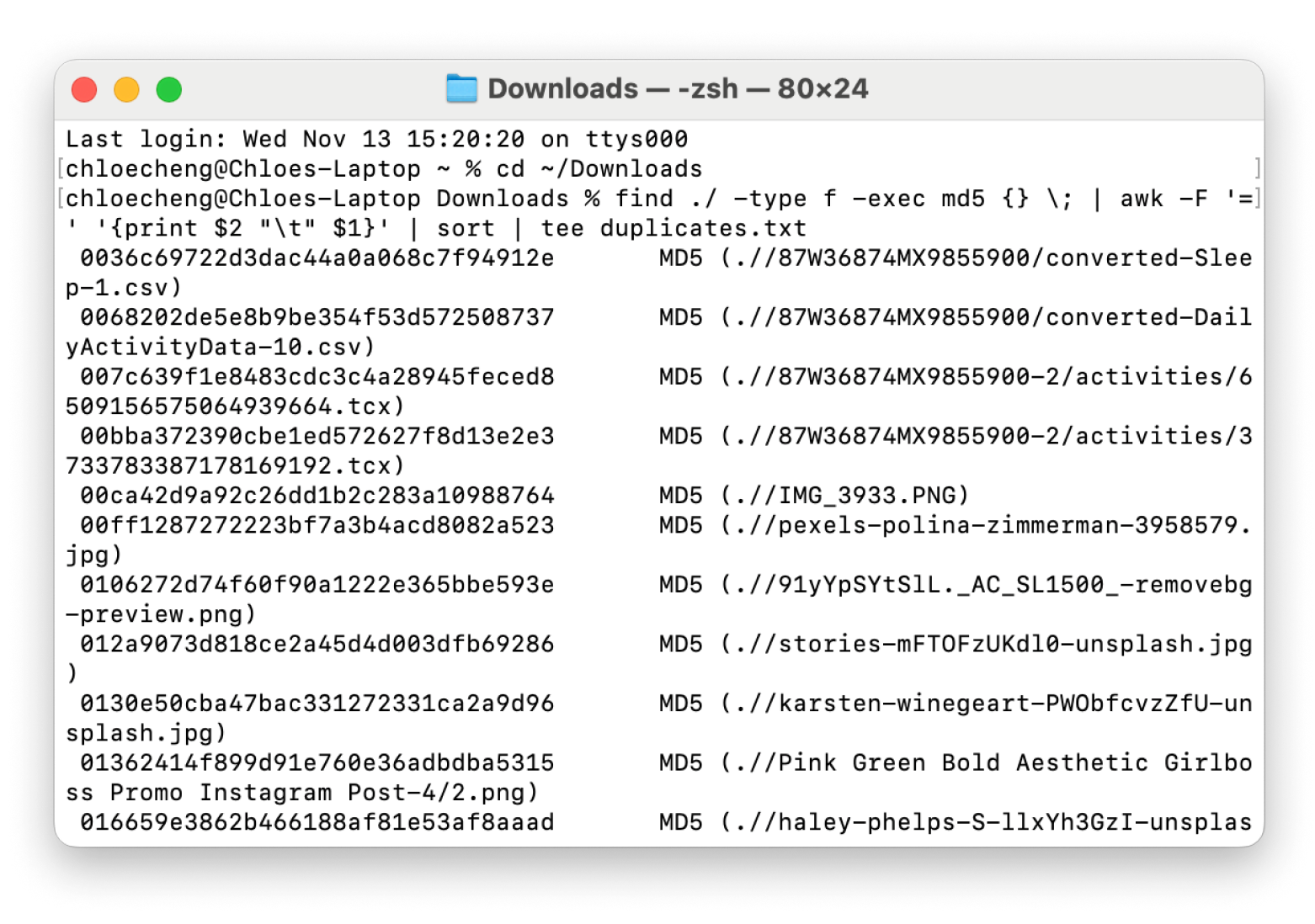 view downloads in Terminal